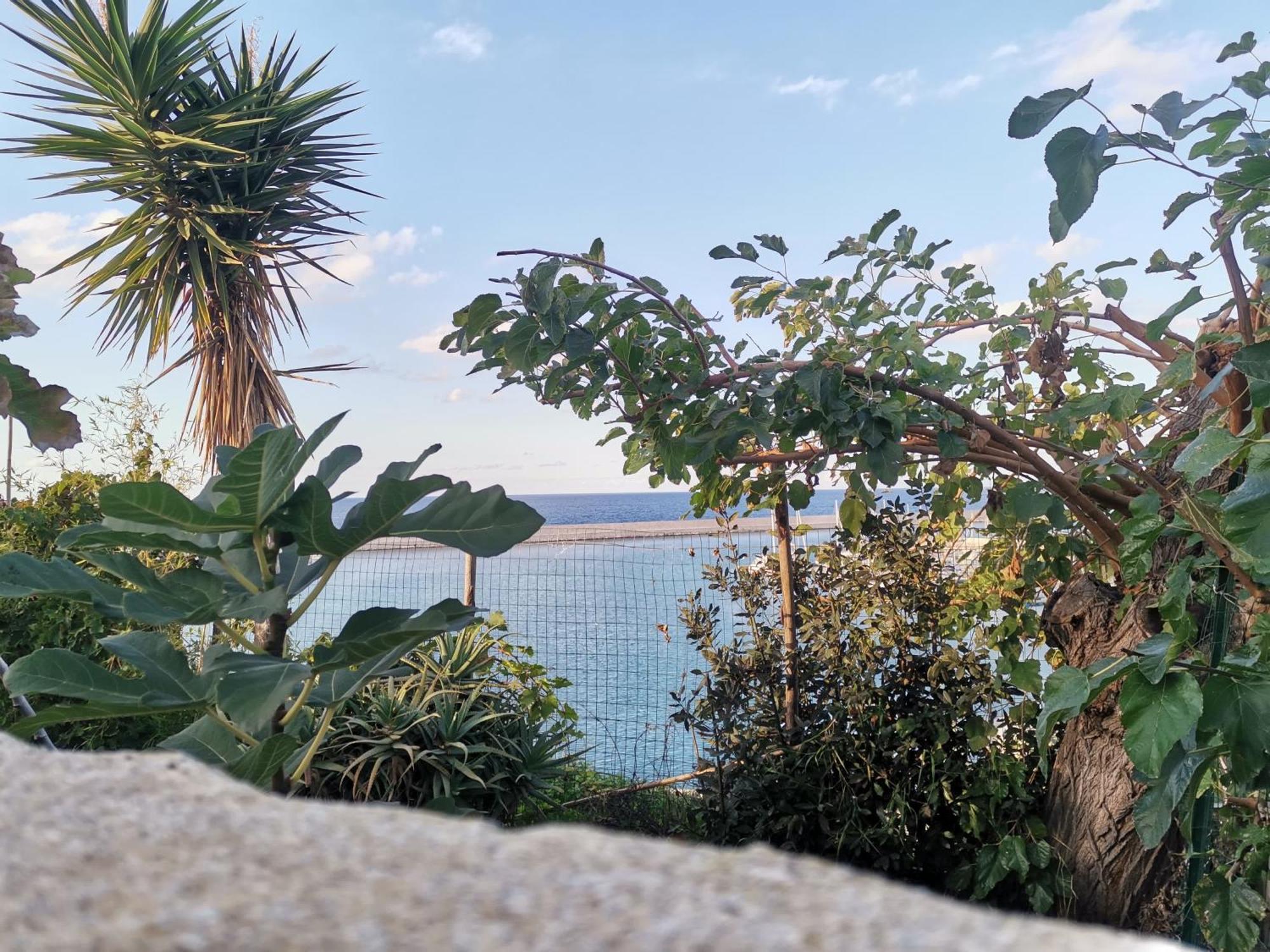 Loft Sul Mare Apartment Balestrate ภายนอก รูปภาพ
